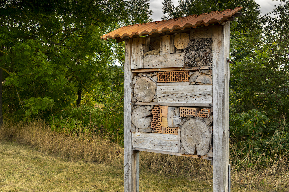 Insect hotel in a park