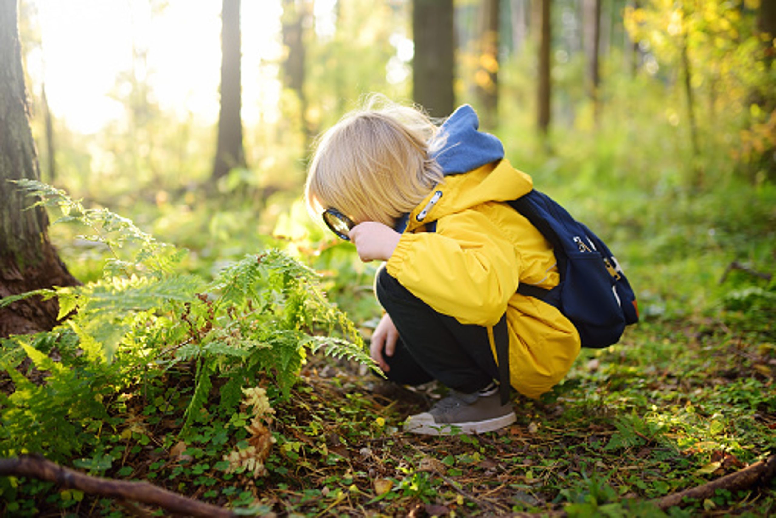 A blonde child wearing a yellow coat crouches on a forest floor, holding a magnifying glass up to a fern